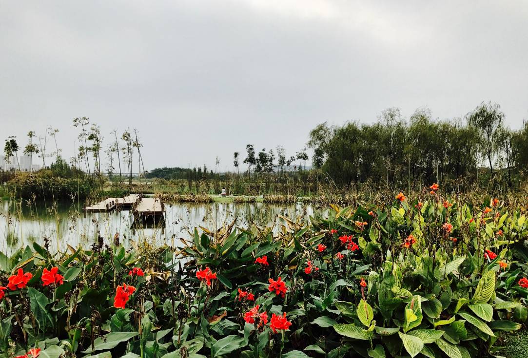 香城溼地公園位於木蘭鎮獅子社區,與成都大熊貓基地毗鄰.