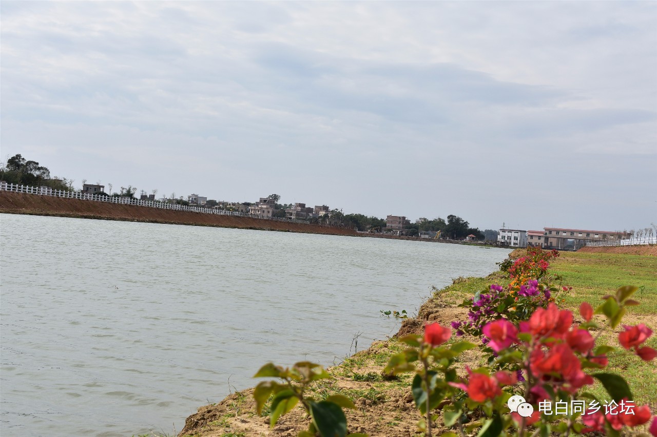 電白又一公園即將建成電白獨一無二的旅遊景點