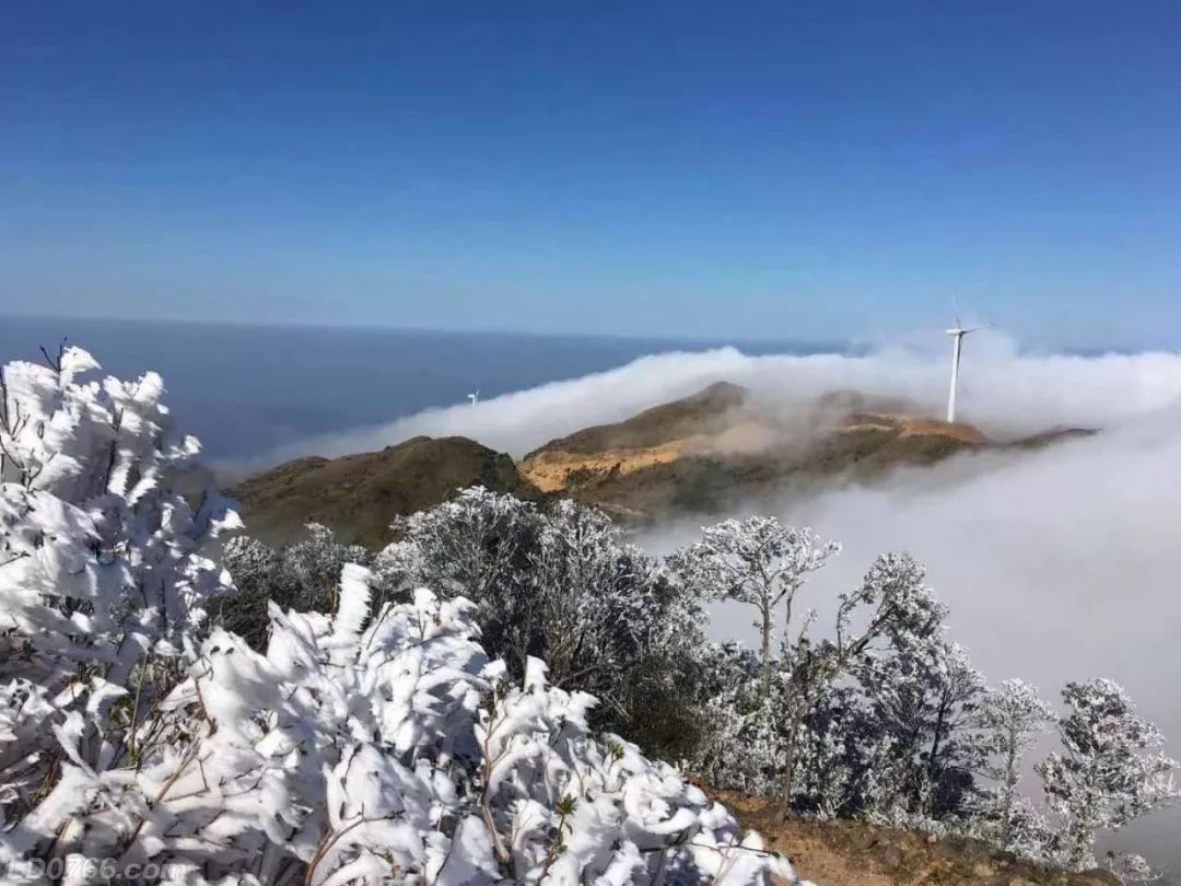 云浮大金山下雪图片