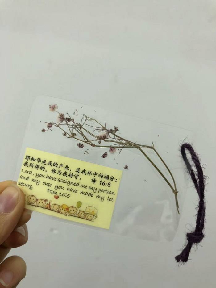 圣诞第一周 自制干花书签 小学生手作