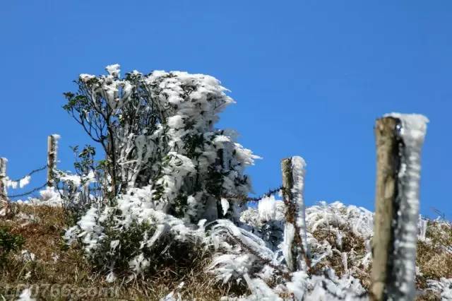 雲浮快看!第一場雪已經下了?龍灣風車山