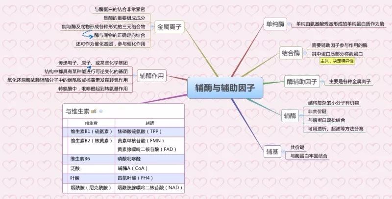 蛋白質的結構△蛋白質結構與功能關係△蛋白質結構與功能關係△氨基酸