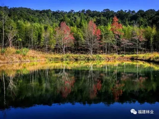 村,新阳镇的双鲤村和葛竹村,坂面乡的京口村和蒋坑村的三镇五村交界处