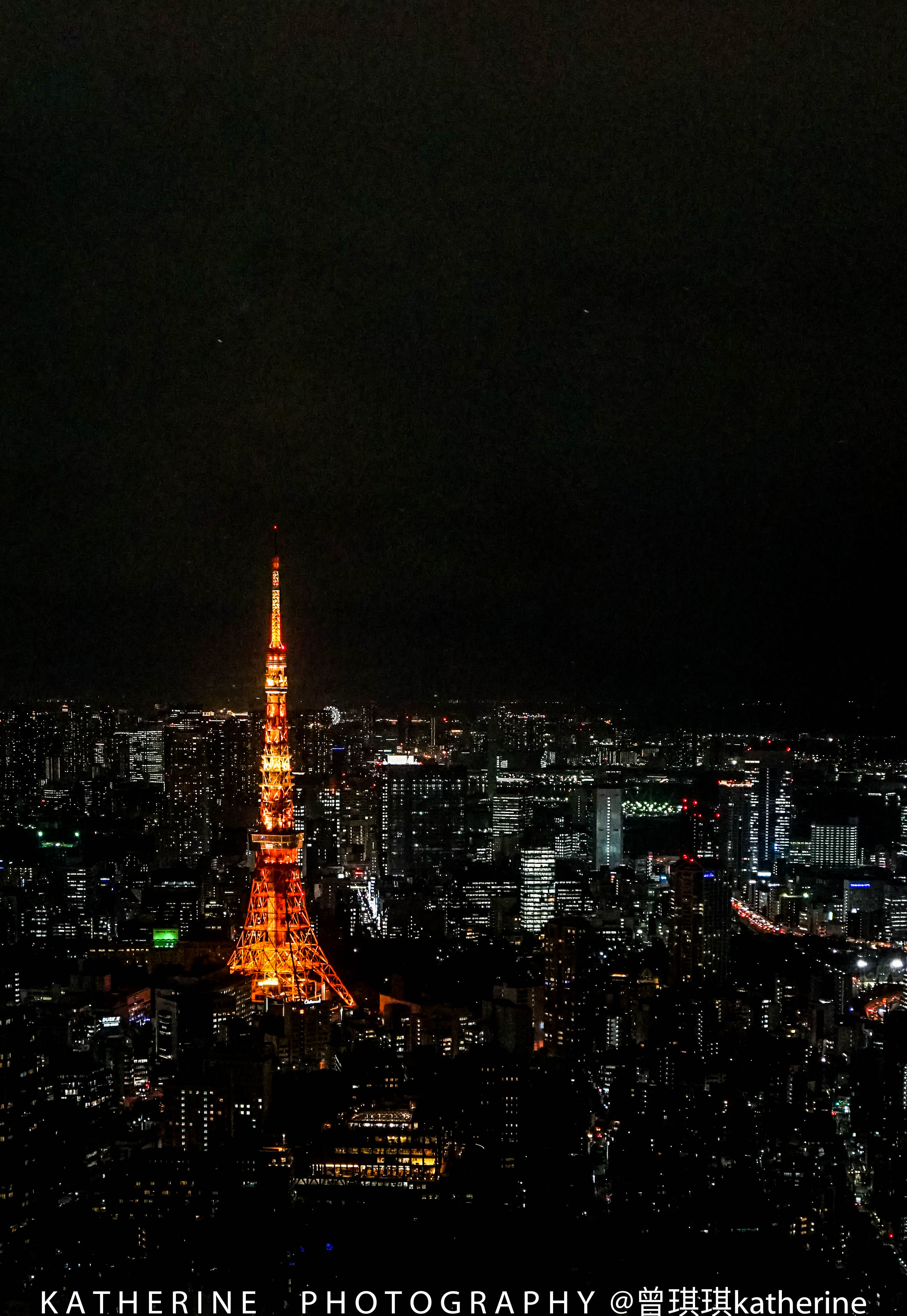 二進東京迷失在這個燈紅酒綠的繁華城市暴走購物全攻略