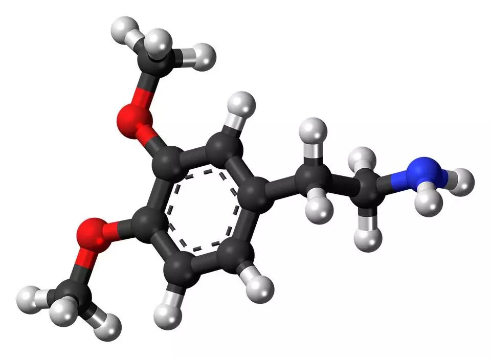 慢跑等节奏类运动可以促使这些激素的分泌,可以提高我们的抗压能力起