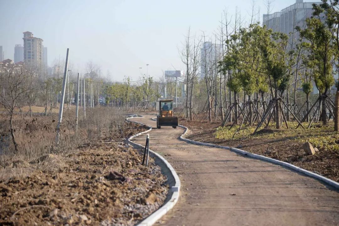 佔地1150畝規模超中央公園六安城區溼地公園即將建成