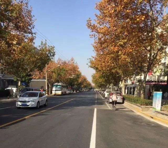 清峪路(丰庄西路-花家浜路)竣工通车现场