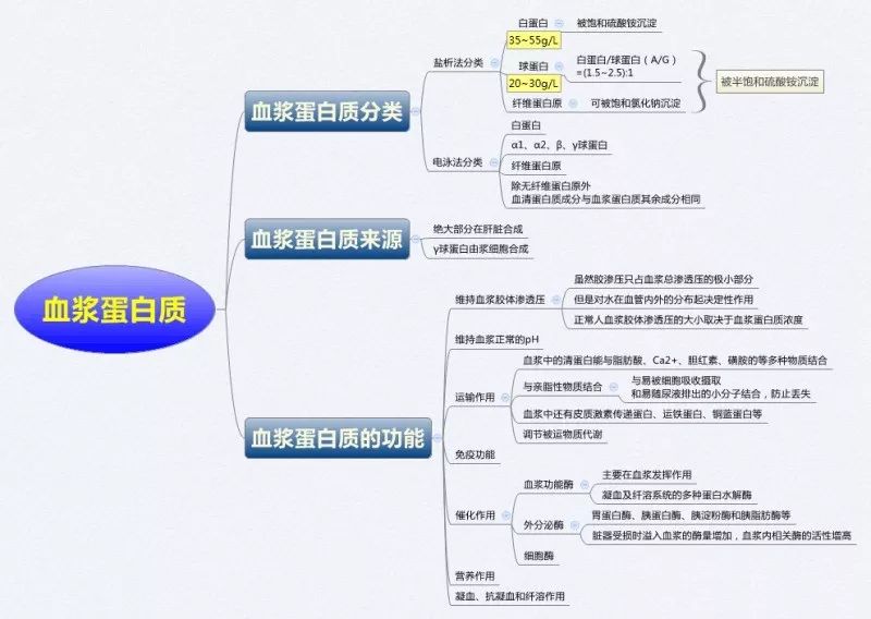 生物化學思維導圖集合