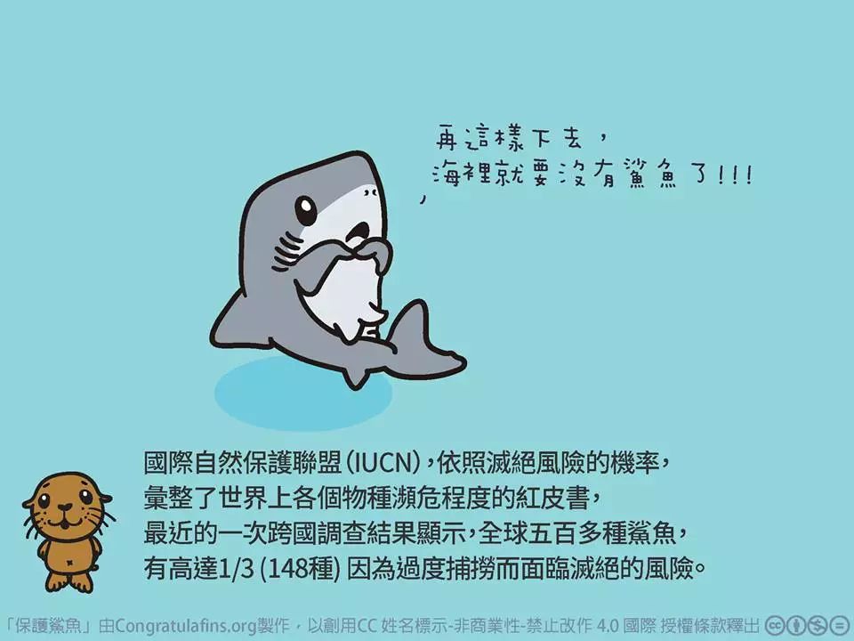 认识鲨鱼,保护鲨鱼