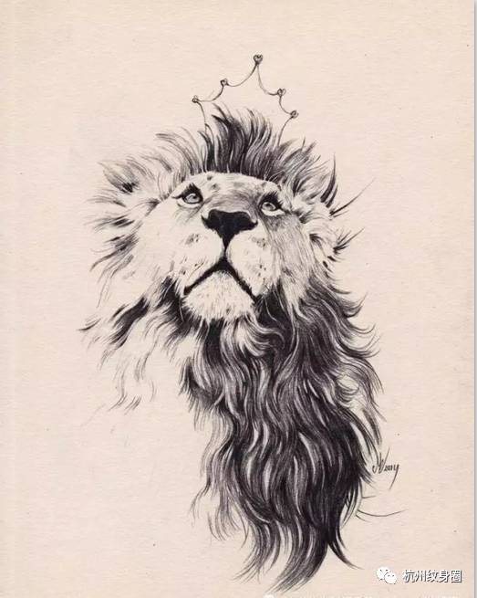 狮子座纹身手稿图片