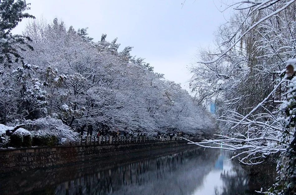 4春城昆明你欠我们一场雪