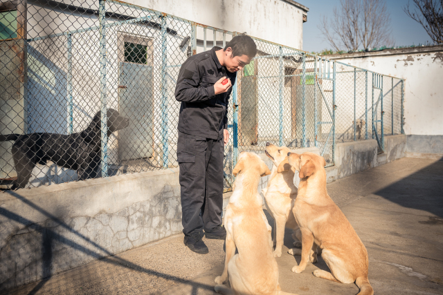 路誌紅是莘巴訓練基地的另一名訓犬師