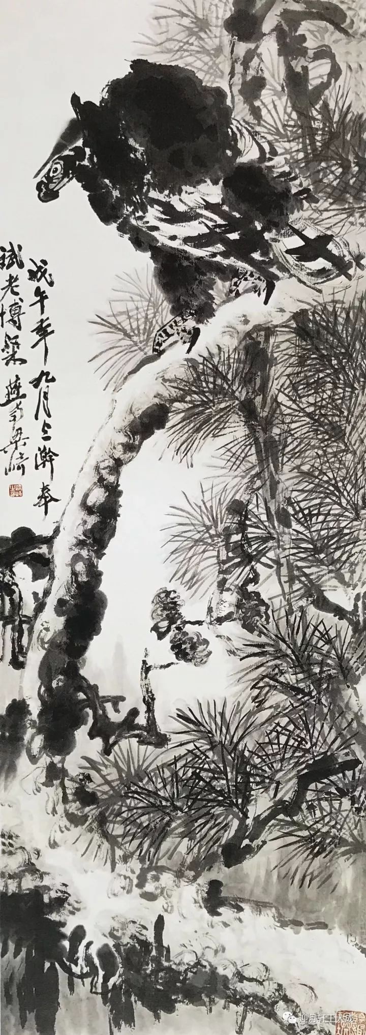 梁崎花鸟画大集合