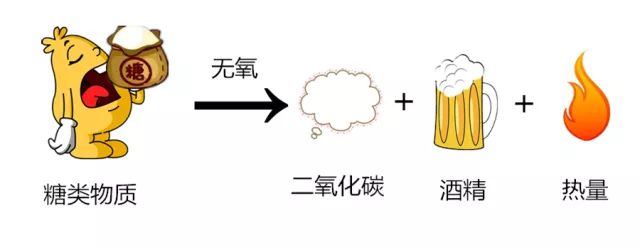 面粉发酵方法与步骤图片