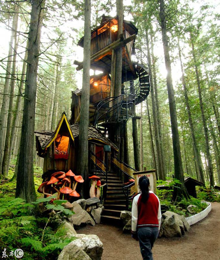 (图片来自东方ic)一个位于加拿大的魔法森林,占地38英亩,售价270万