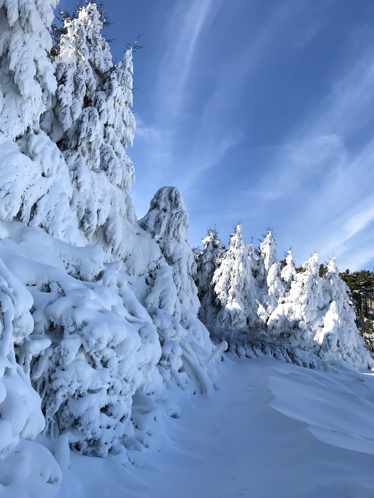 玉舍雪山滑雪场又再想起你抱拥飘飘白雪中