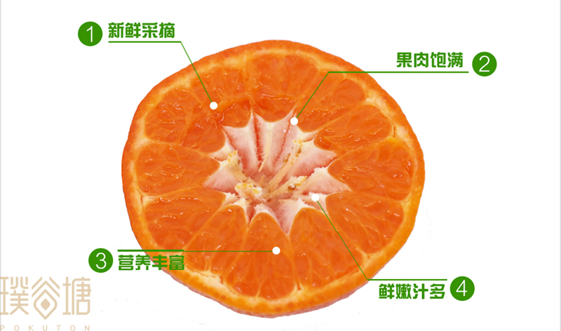 橘子,橙子等