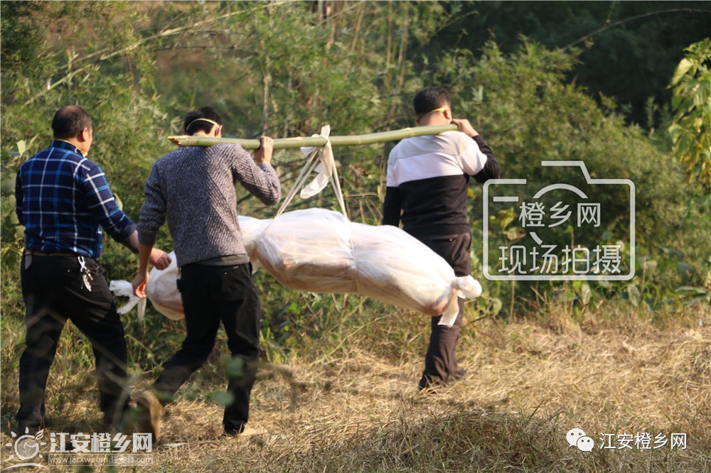 遠遠看到殯儀館的工作人員正在包裹死者遺體,準備抬上來