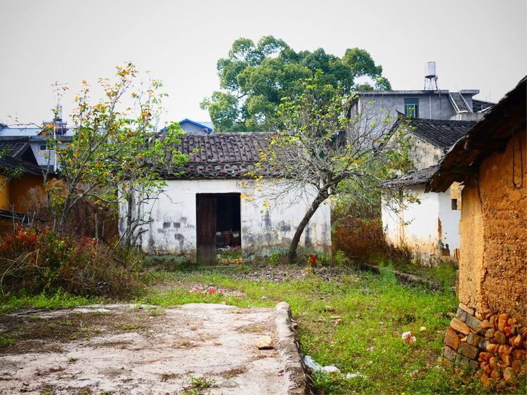 宅空,根仍存守衛家園人氣尚存,不棄家院破屋邊上有人家破敗滄涼乃故居