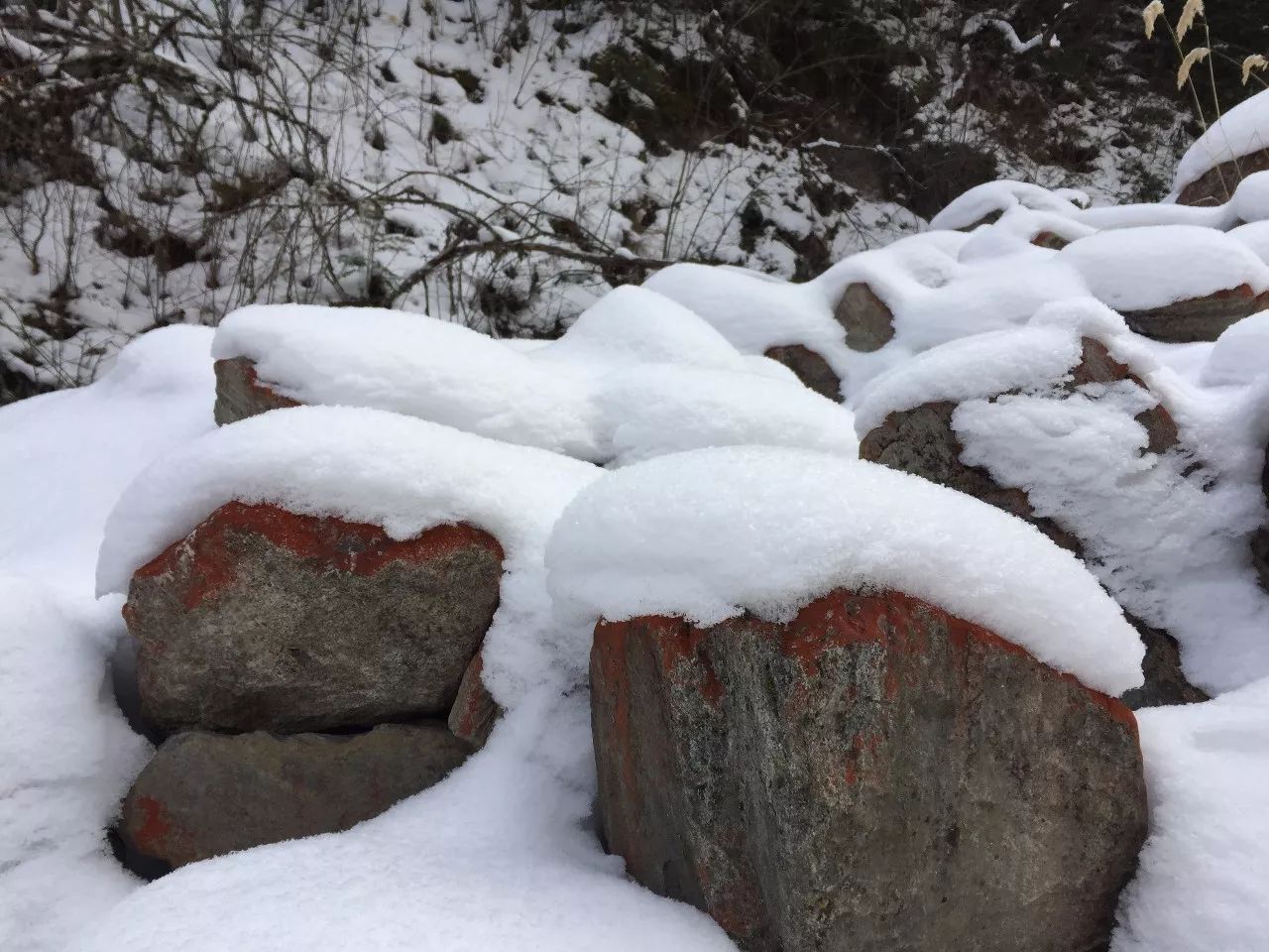 成都邊上藏了個冷門秘境,遍地是積雪!最關鍵是沒有人!還免費!