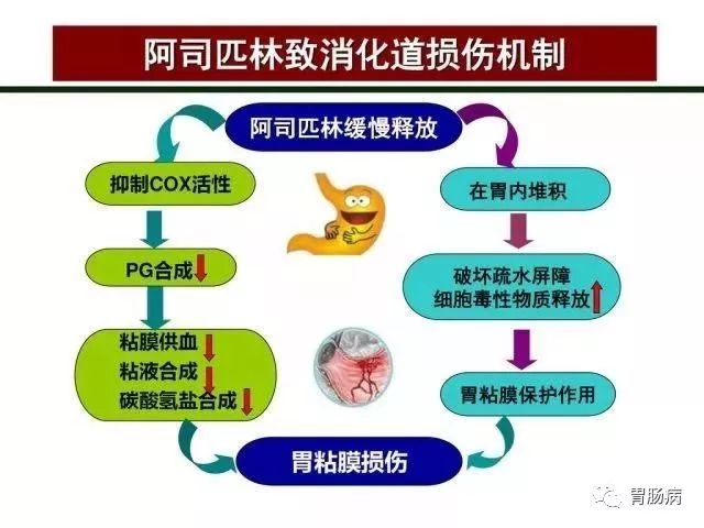 服用阿司匹林抗血栓,如何避免消化道出血?