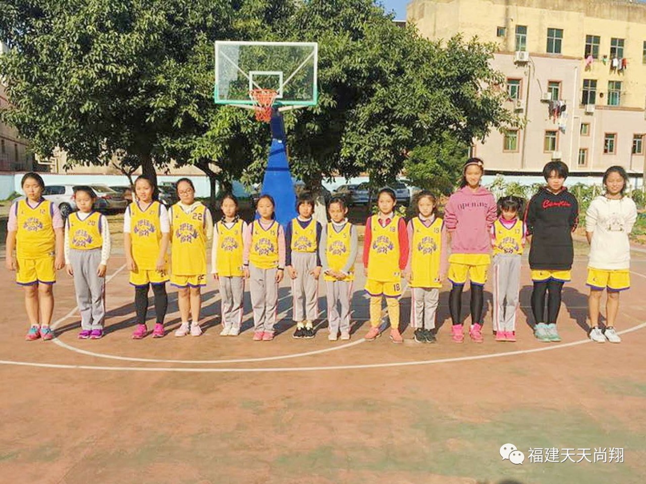 厦门湖里育青小学图片