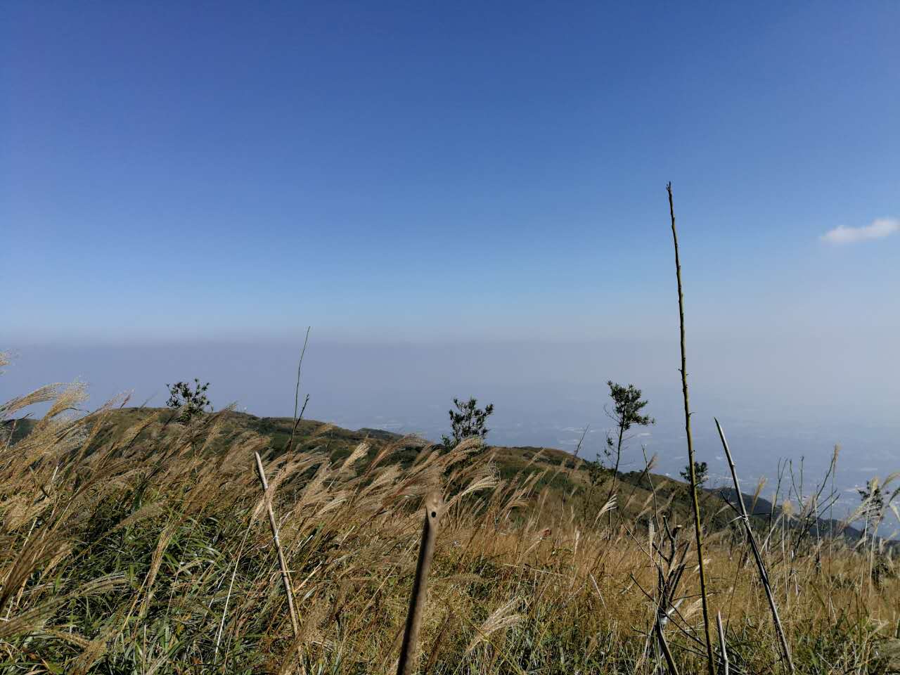 活動| 12.23(週六)羅浮山衝飛雲頂活動