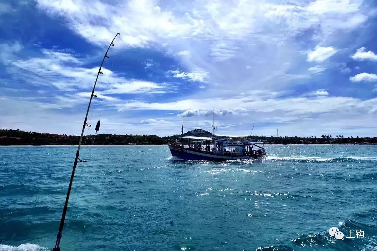 課堂·海釣|深海船釣初體驗?拿上這份攻略去黃,渤海就對了