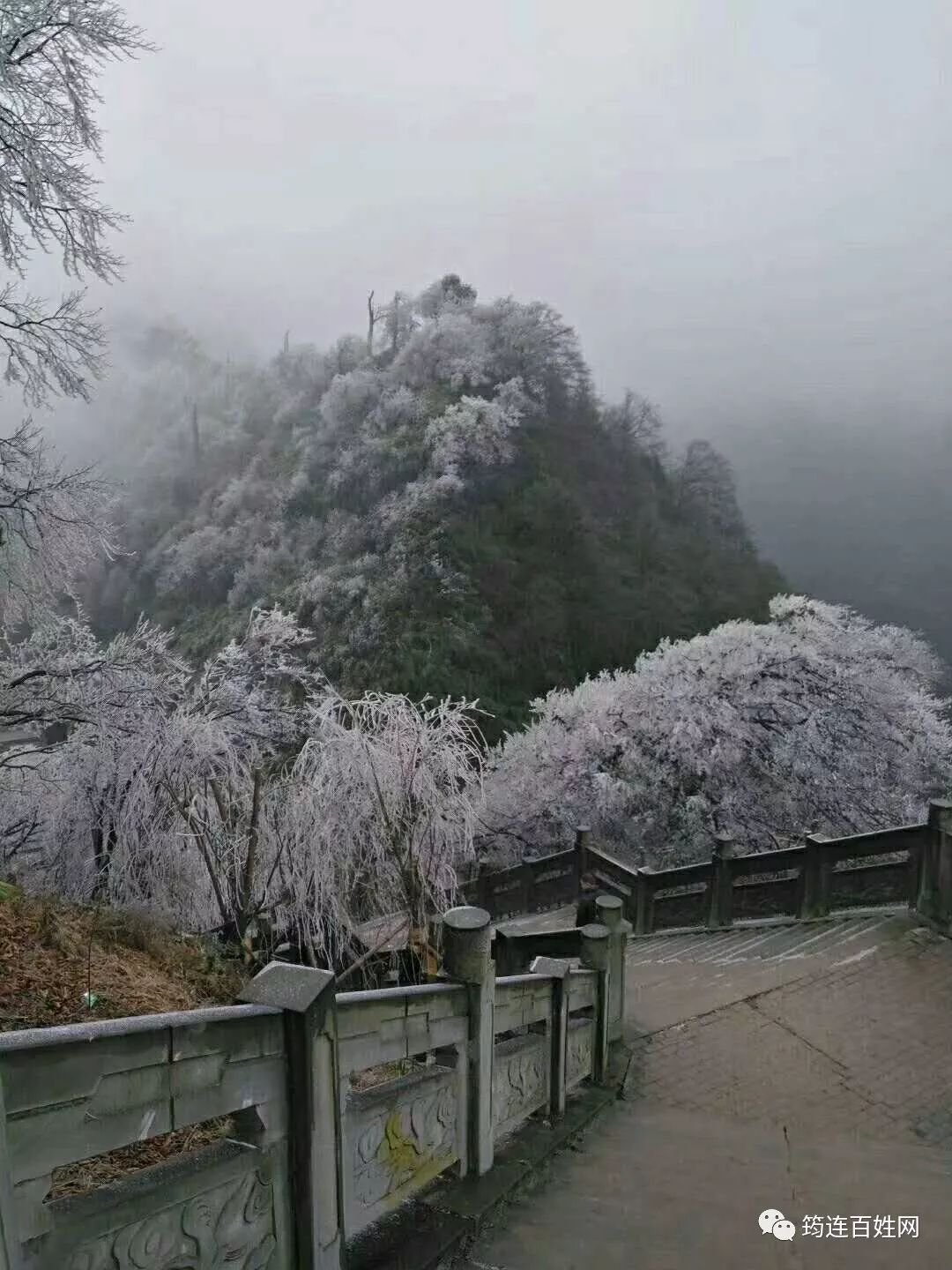 筠连县大雪山图片