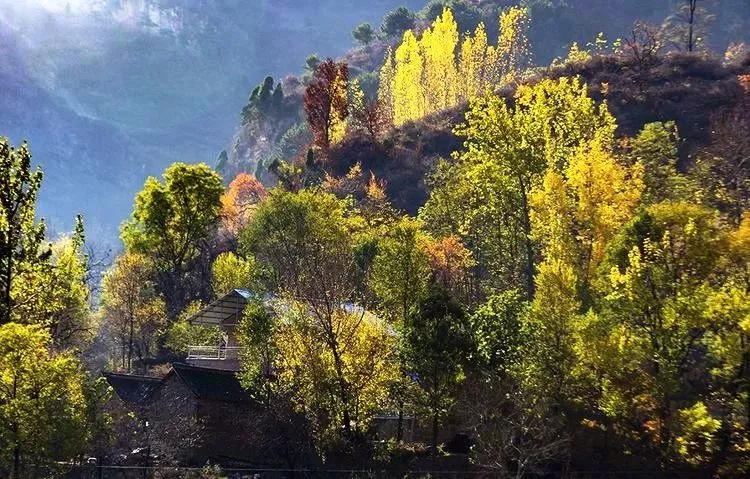 陵川这个被世人遗忘的小山村,隐藏着世间最美好的风景!