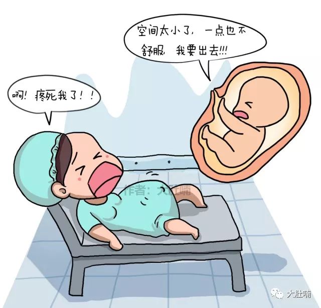 大肚子生孩子 漫画图片