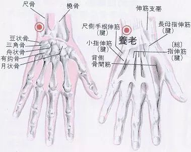 何必吃药按按养老穴老年病跑光光