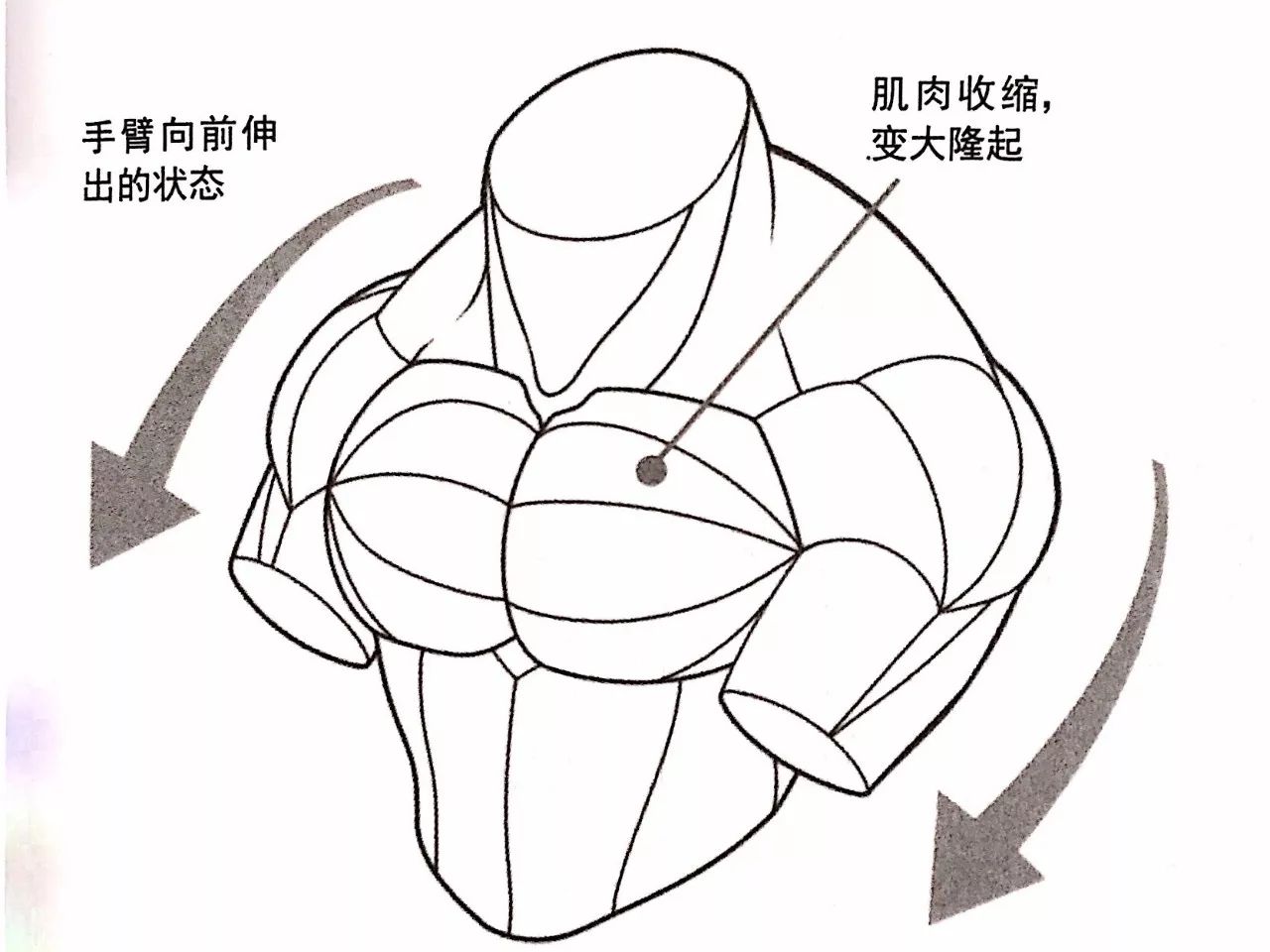 在男人胸上画简笔画图片