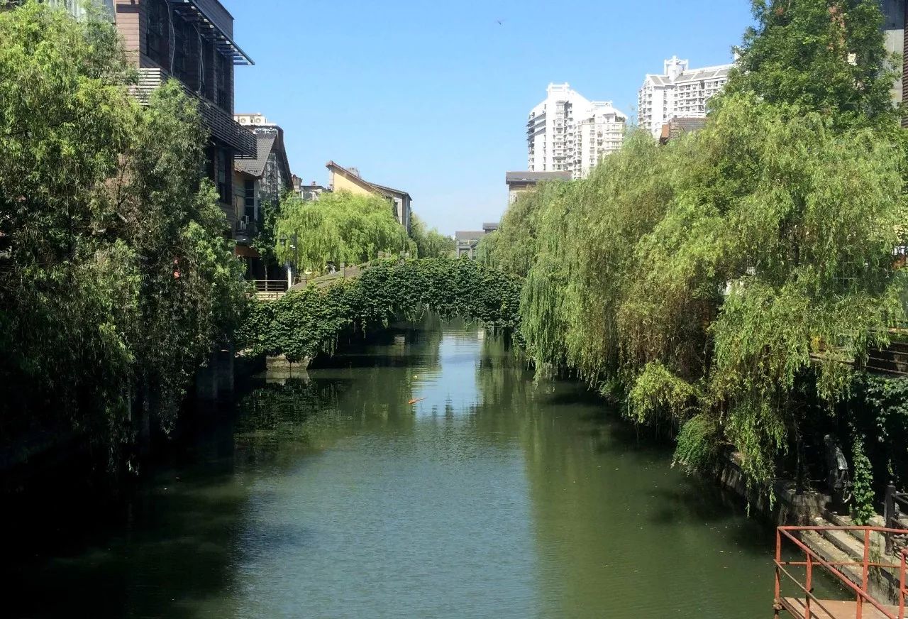 7月10日,位于半山街道的上塘河省控半山桥断面顺利通过审查,成为全省