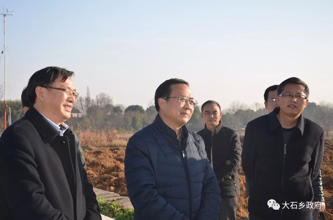 芜湖市委副书记张峰到田祥嘴村慰问挂职交流干部