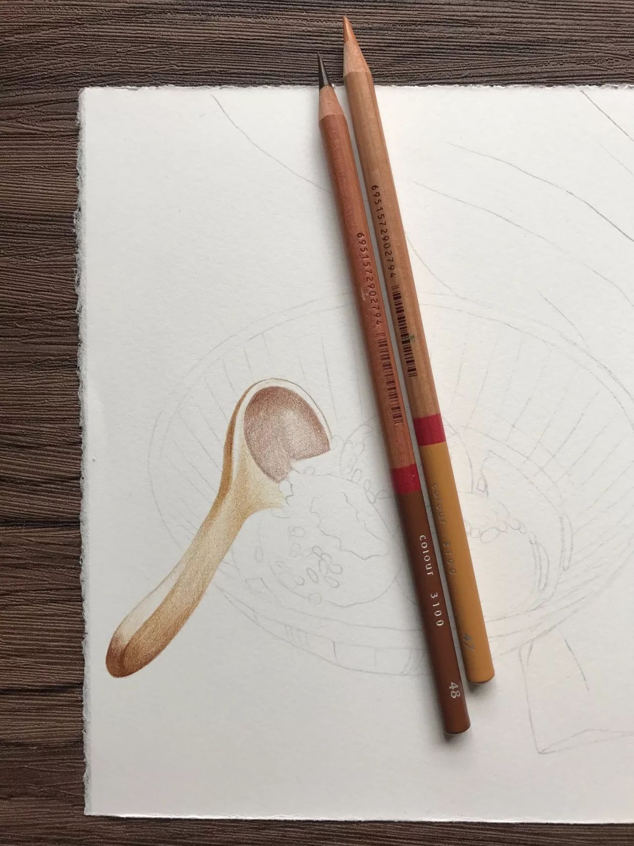 专业美术彩色铅笔marco马可雷诺阿所需工具手绘冬至饺子汤圆谚语云