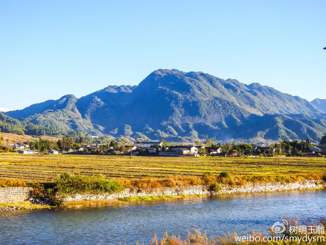 云峰茶谷 - 旅游景点 - 大竹县人民政府