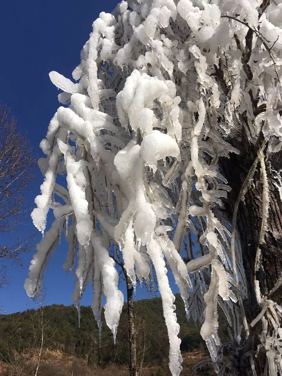 霜冻照片高清图片