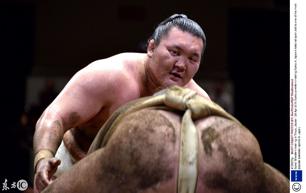 源于中国的相扑运动,竟成了日本的国技,相扑选手训练时笑死人