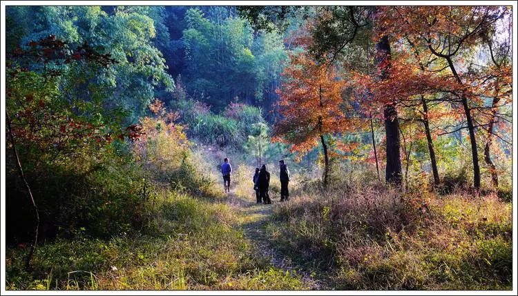 12月30日-18年1月1日粵北連州探訪古瑤寨 鄉村紅葉 大東山溫泉活動