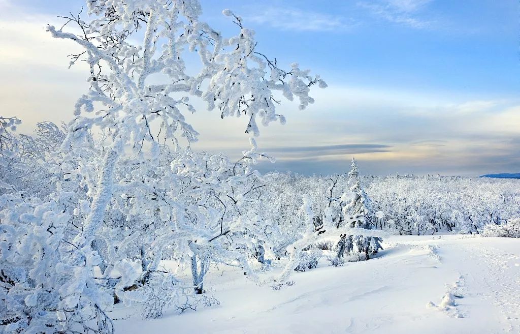 世界上最美的雪景图片图片