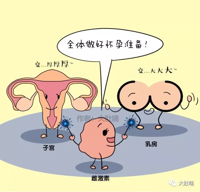 女人生孩子的地方图片