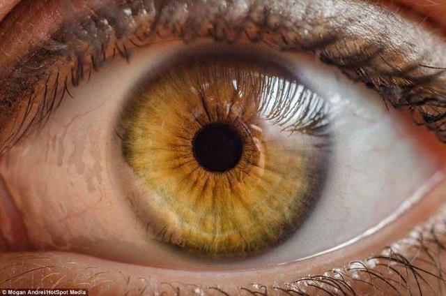 不同人种的眼睛,有不同的颜色,褐色,蓝色,绿色,灰色……这其实就是