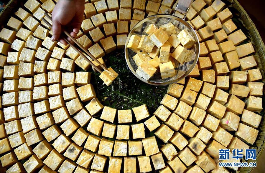 豆腐乳发酵成功的图片图片