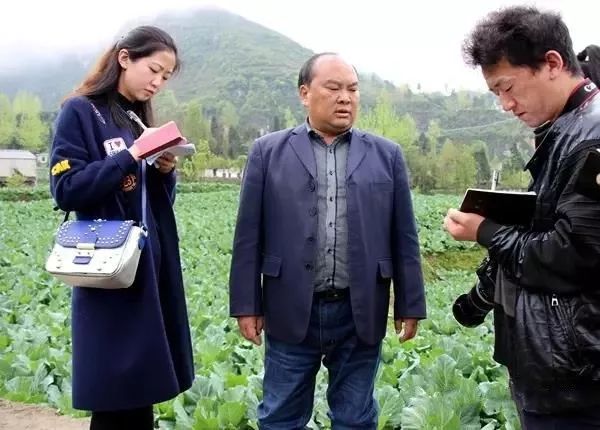 介绍蔬菜种植情况大山乡高山冷凉蔬菜种植基地位于大方县大山乡松明村