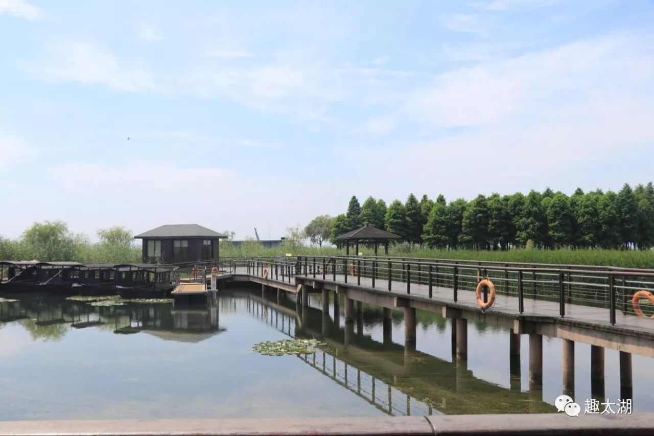 菱湖渚公园图片