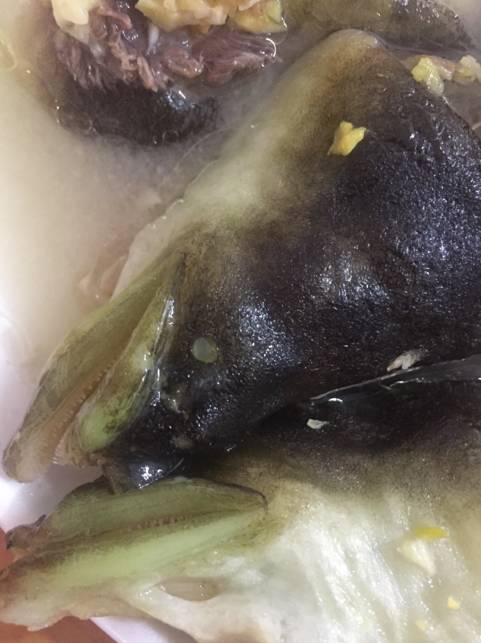 軍埠男子菜市場買烏麻魚煮熟變青麻魚難道魚有問題