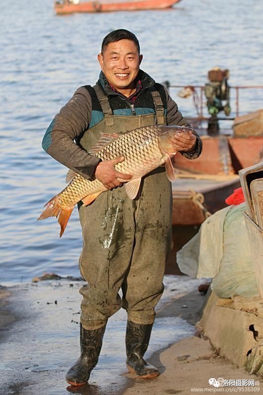 孟津白鹤王庄码头,拍摄渔民捕鱼纪实