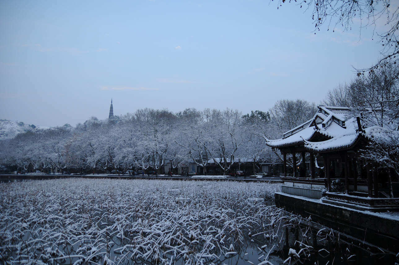 钟敬文先生在《西湖的雪景》里曾有描写"西湖的雪景因为难以捕捉所以