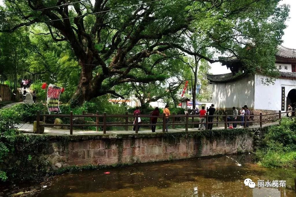 【旅游】古堰古樟古道古宅,堰头村的古老时光